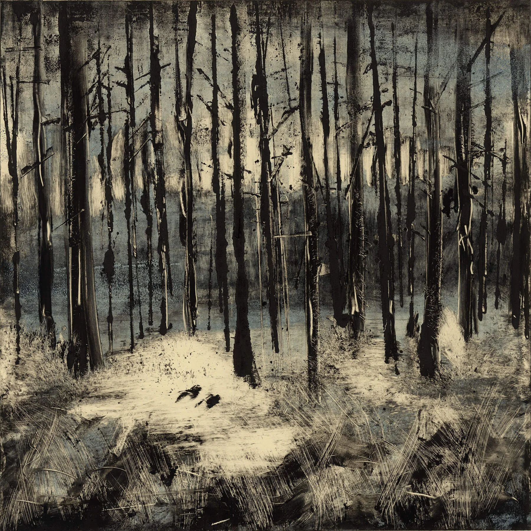 Trees - MA  18" x 18"  2014