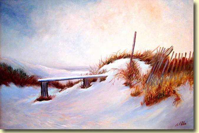 Access to Beach with Snow Fence