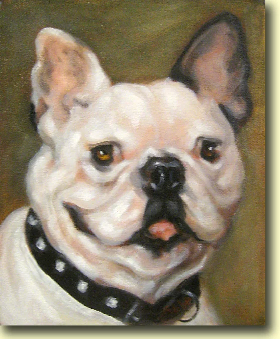 French Bulldog, Bruce Wayne
