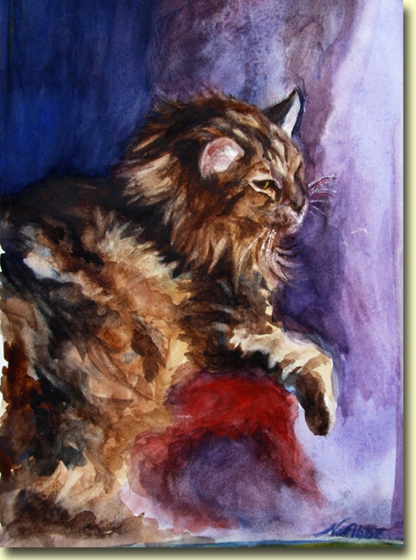 Max, Maine Coon
