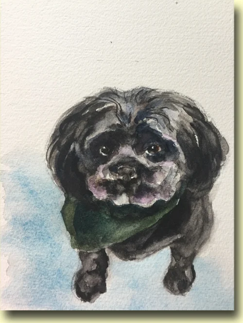 Puppy Doggie