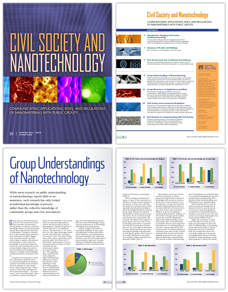 Public policy report