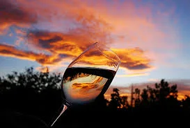 images (23).jpg
