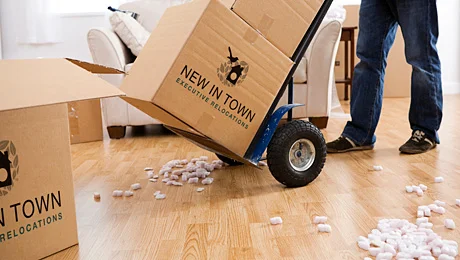 Relocation Services