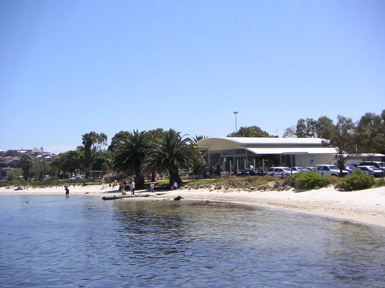 Cafe Shot for Ad.JPG