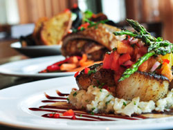 Gourmet Meals Delivered