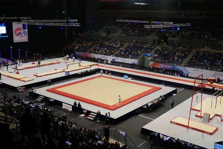 Gymnastics 2.jpg