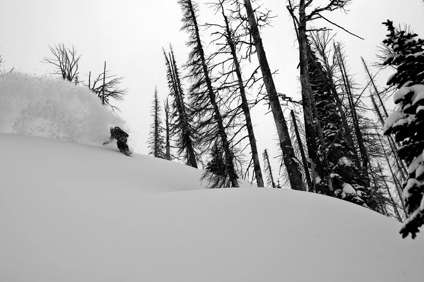 20070221_ShaynePospisil_Idaho_IMG_6100_BW.jpg