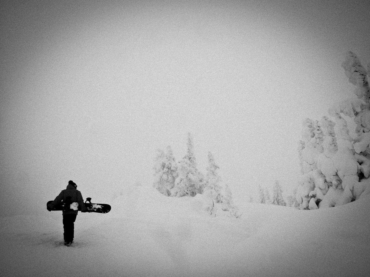 20101221_drago_005.jpg