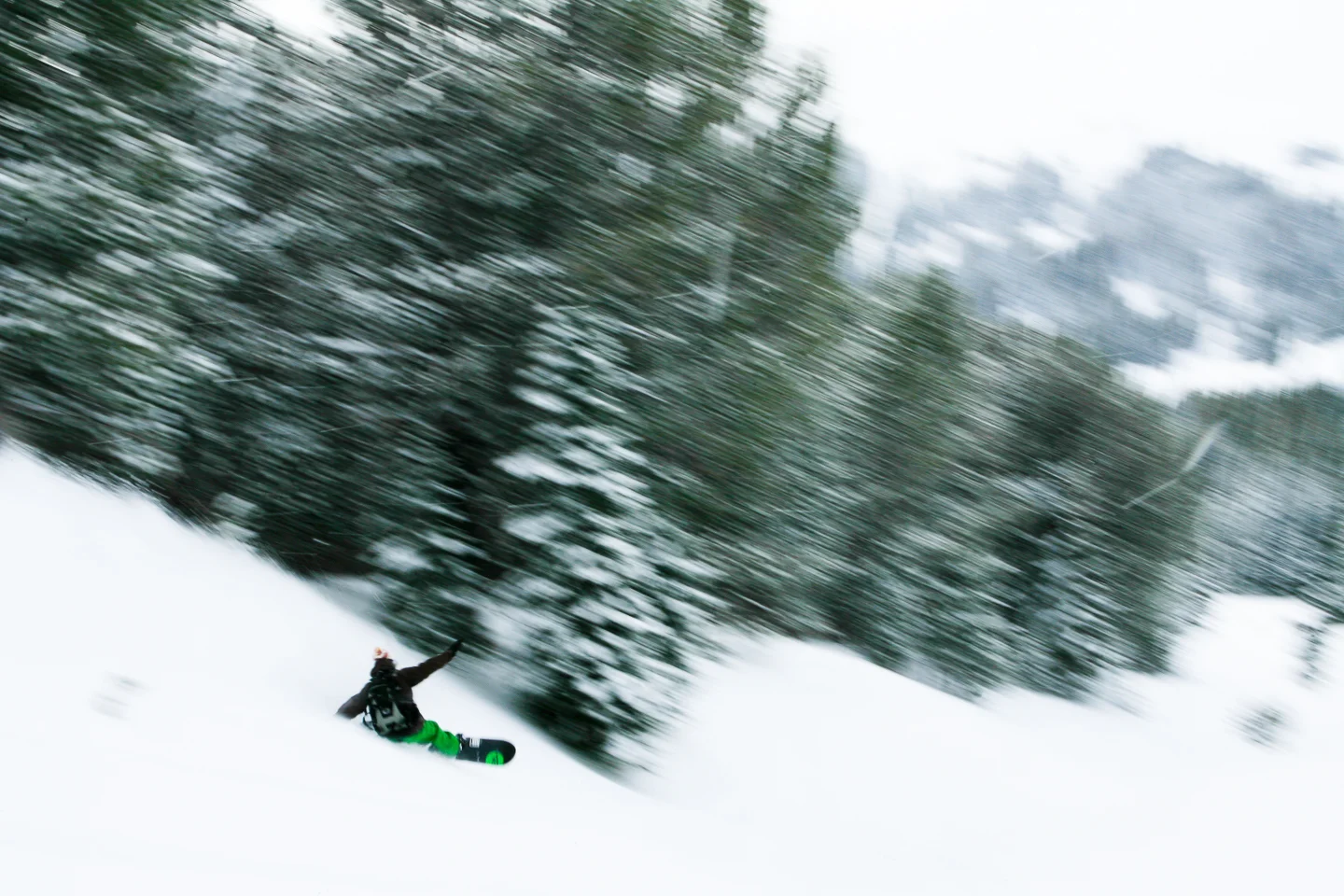 20071207_montana_jones_0007.jpg