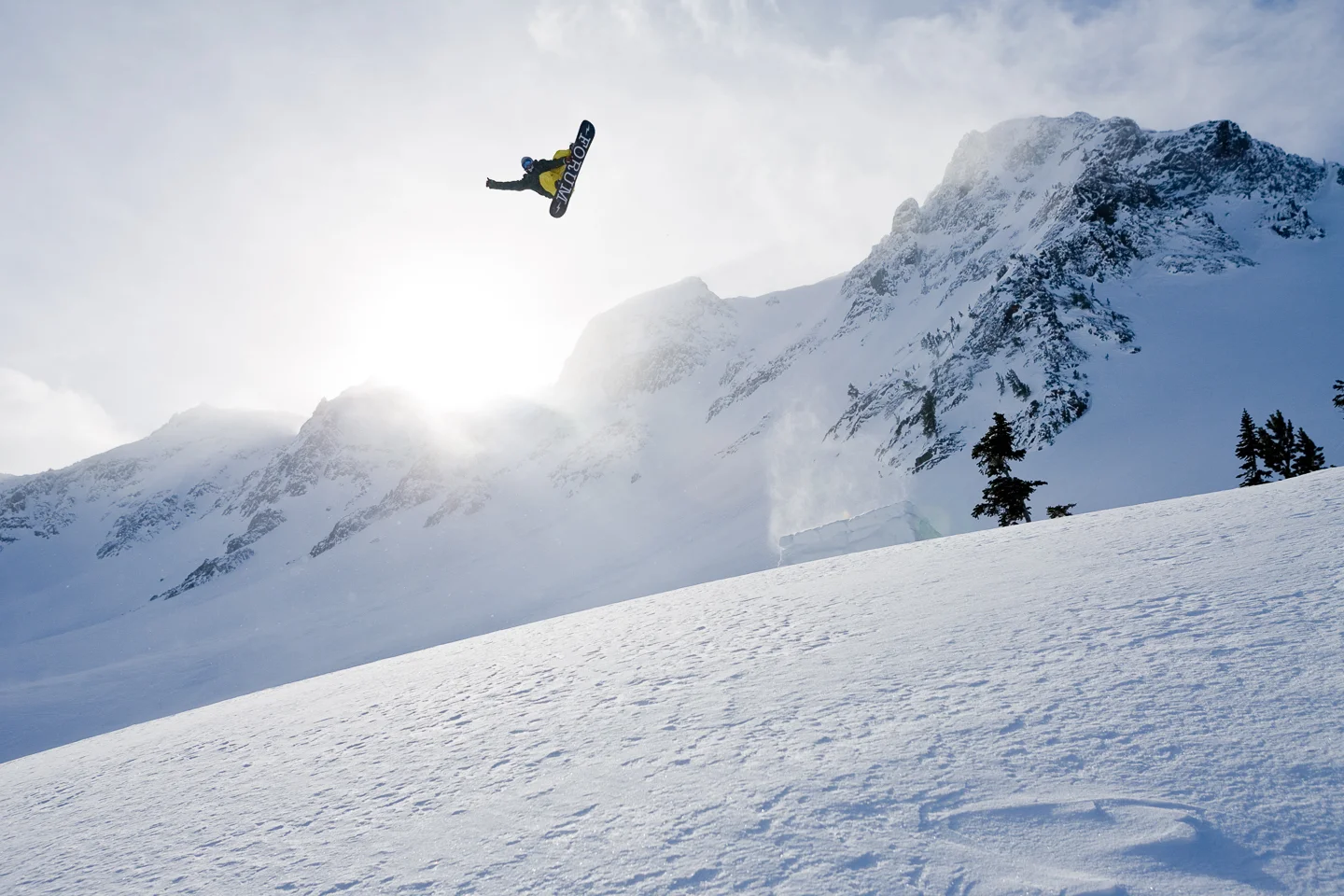20110212_Sauve_248.jpg
