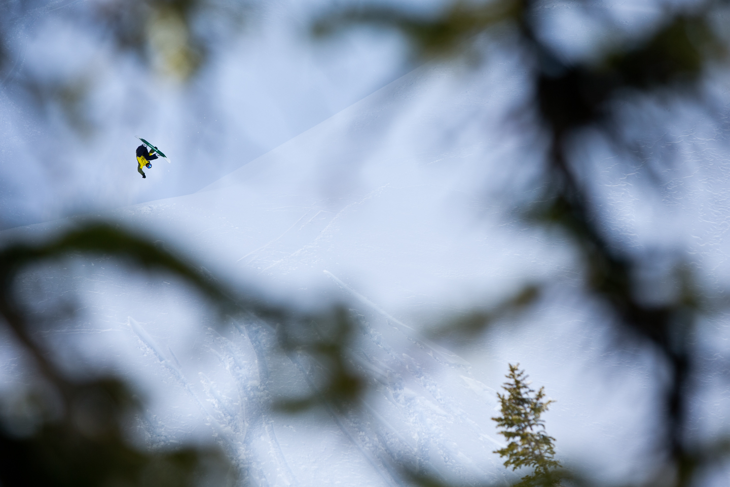 20130109_Yoder_031.jpg