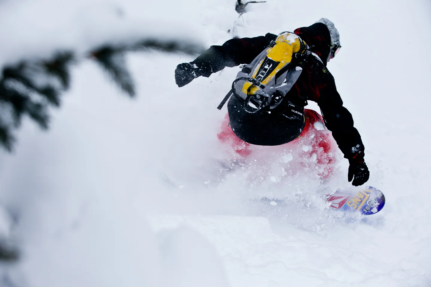20130128_Vans_0925.jpg