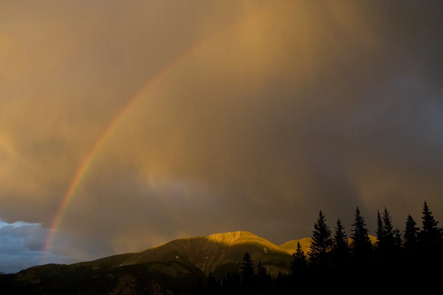 20110715_Breck_002.jpg