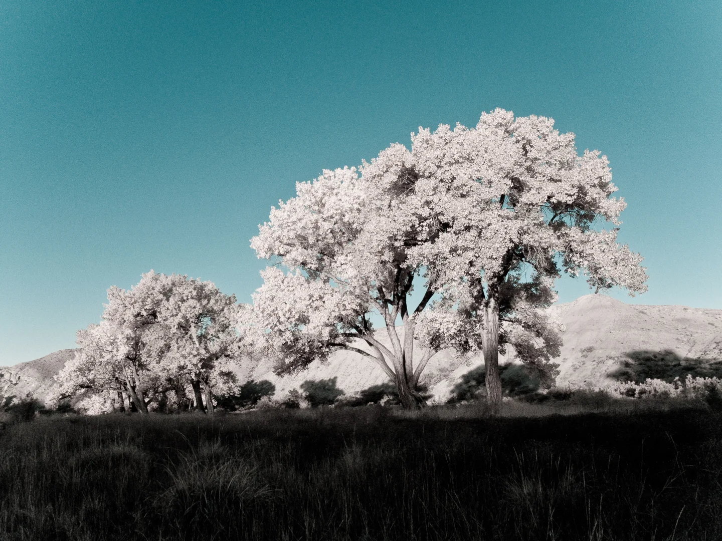 20091016_westwater_008.jpg