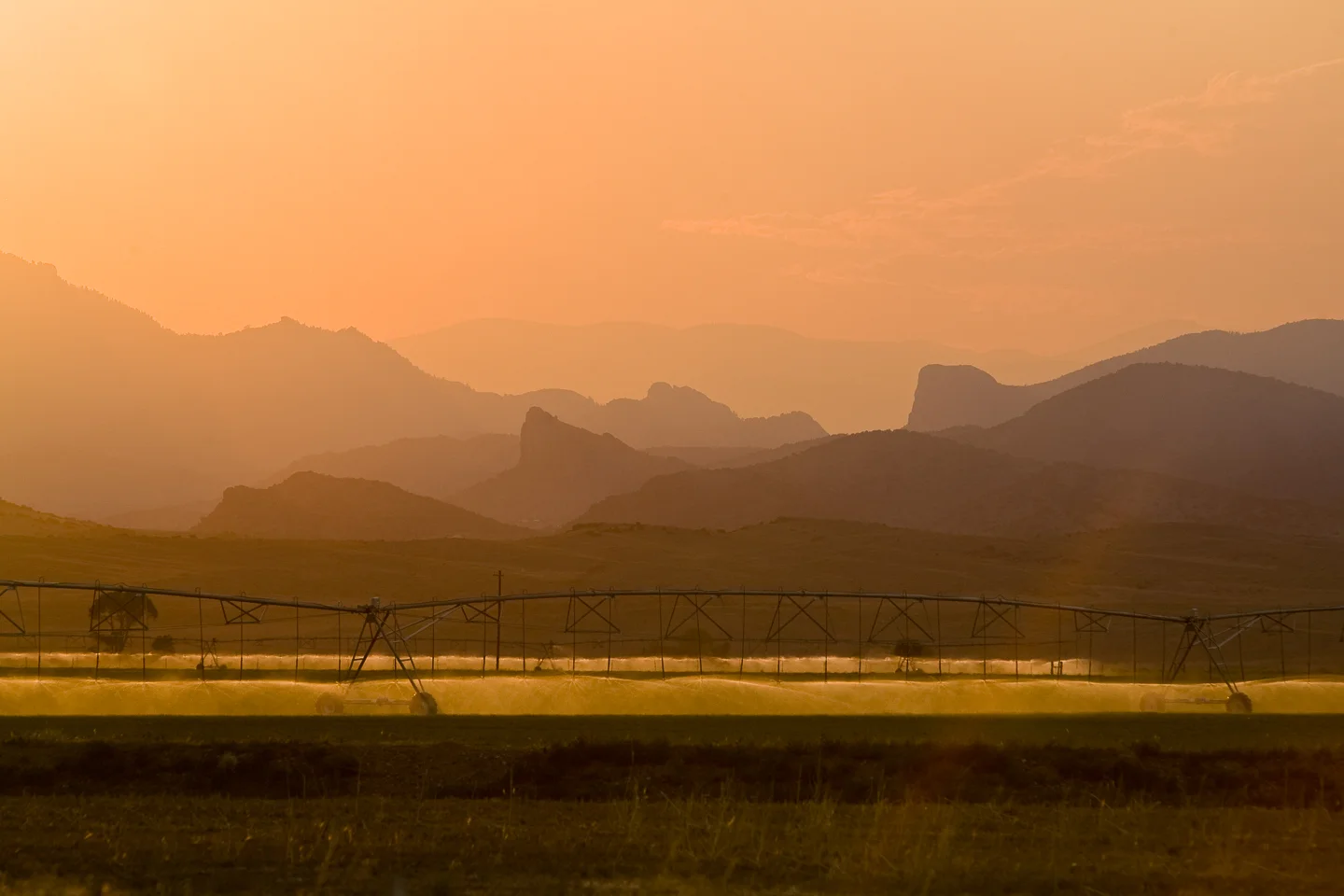 20120606_SLV_077.jpg