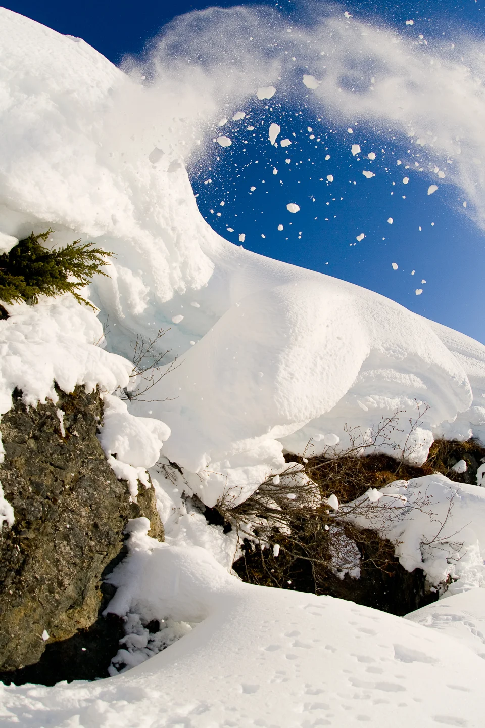 20080326_stevenss_ak_0075.jpg