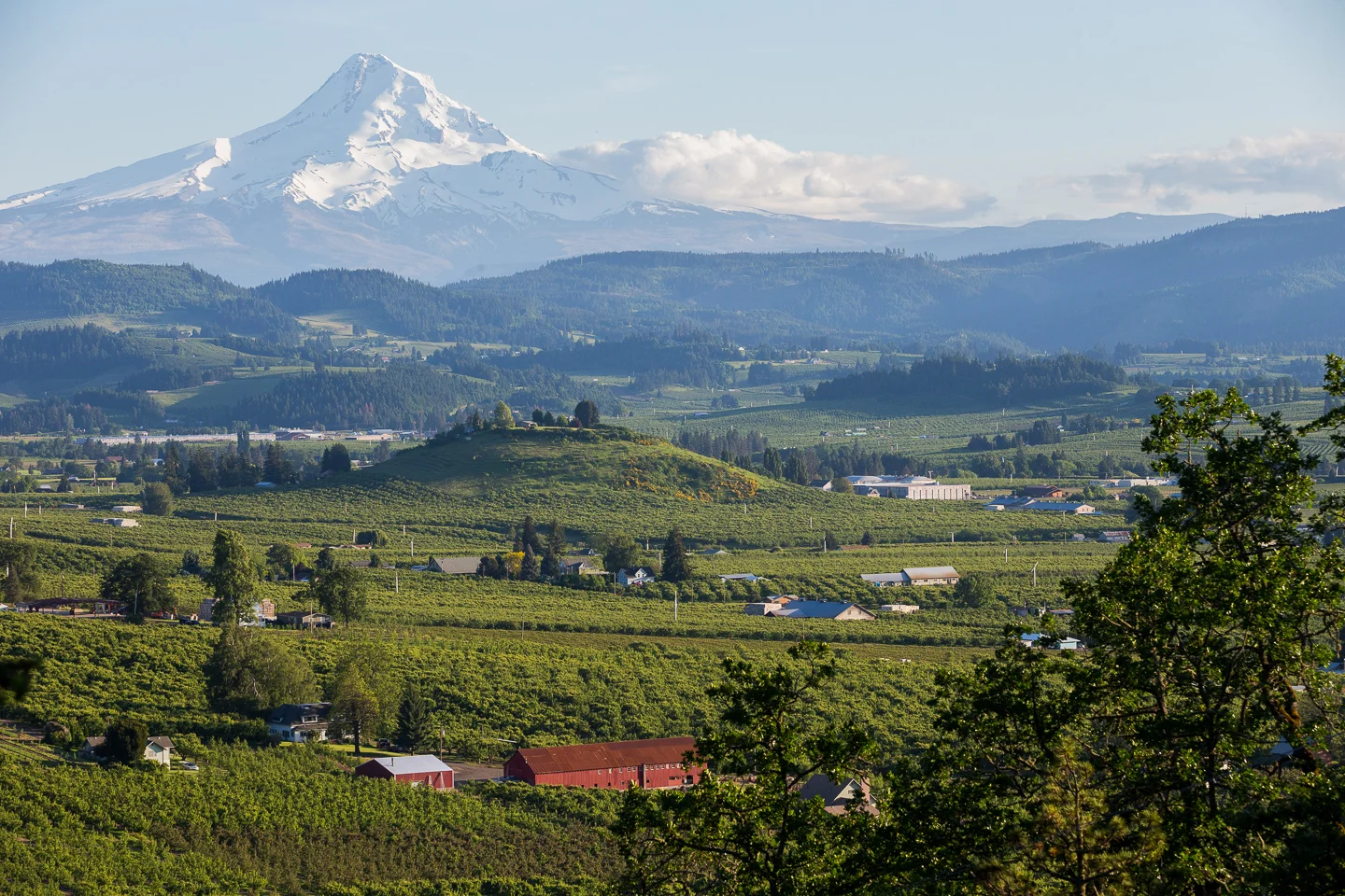 20140520_Landscape_015.jpg
