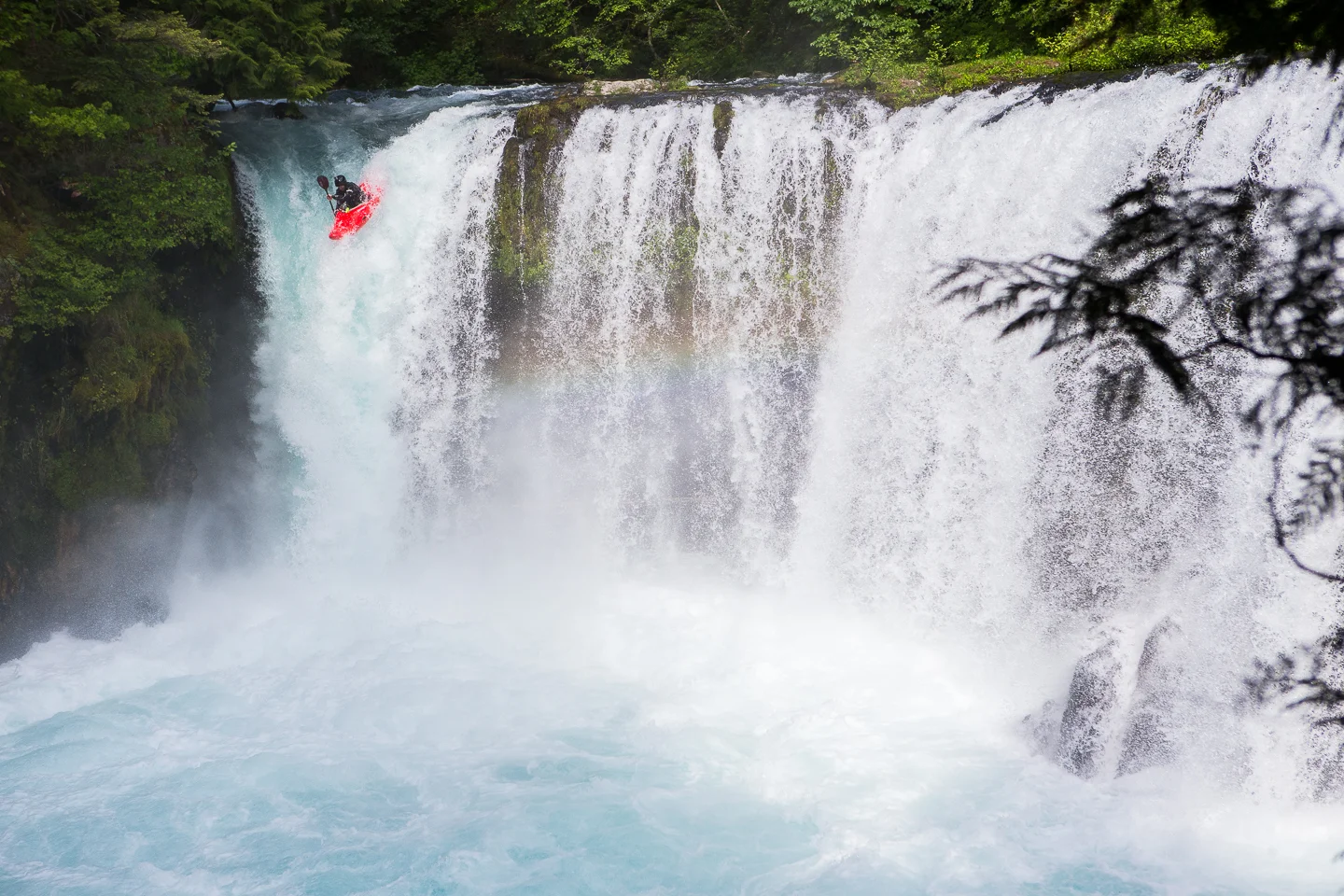 20140523_Byrd_504.jpg