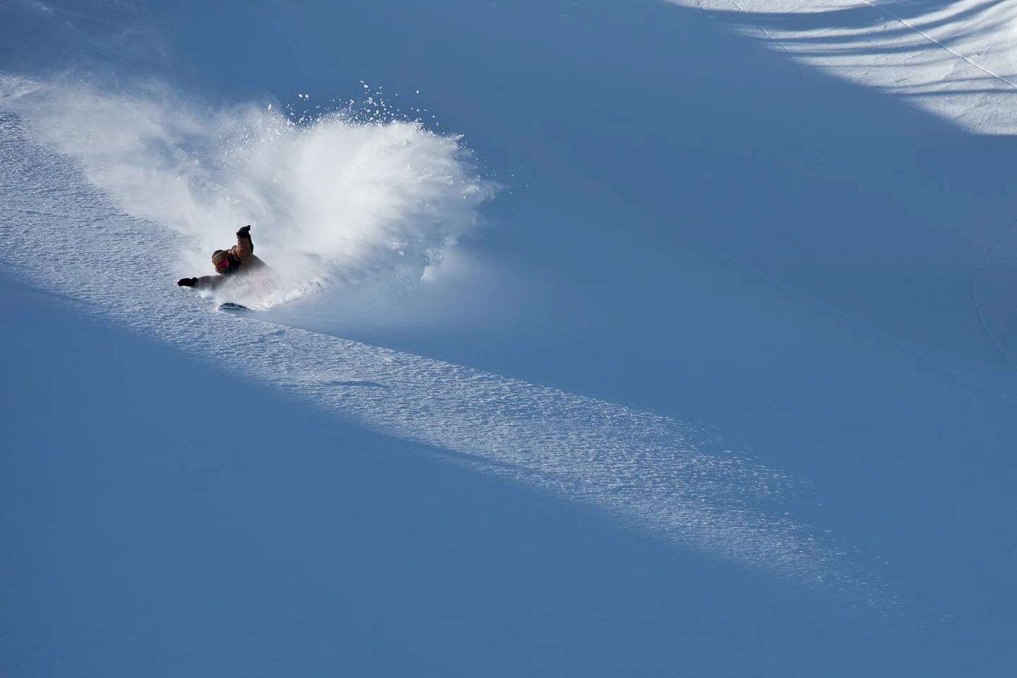 20130102_Carter_118.jpg