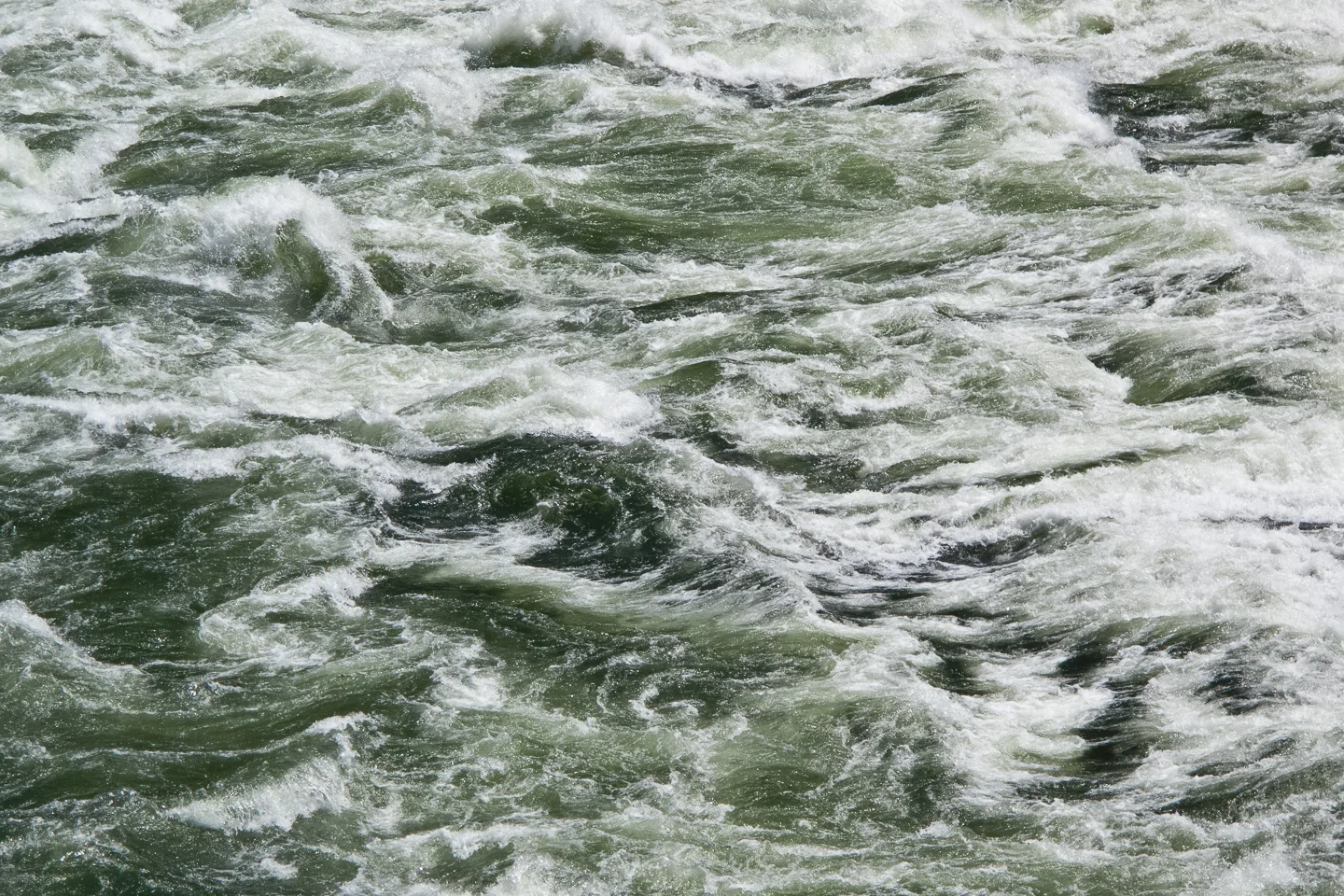 20090526_snake_river_013.jpg