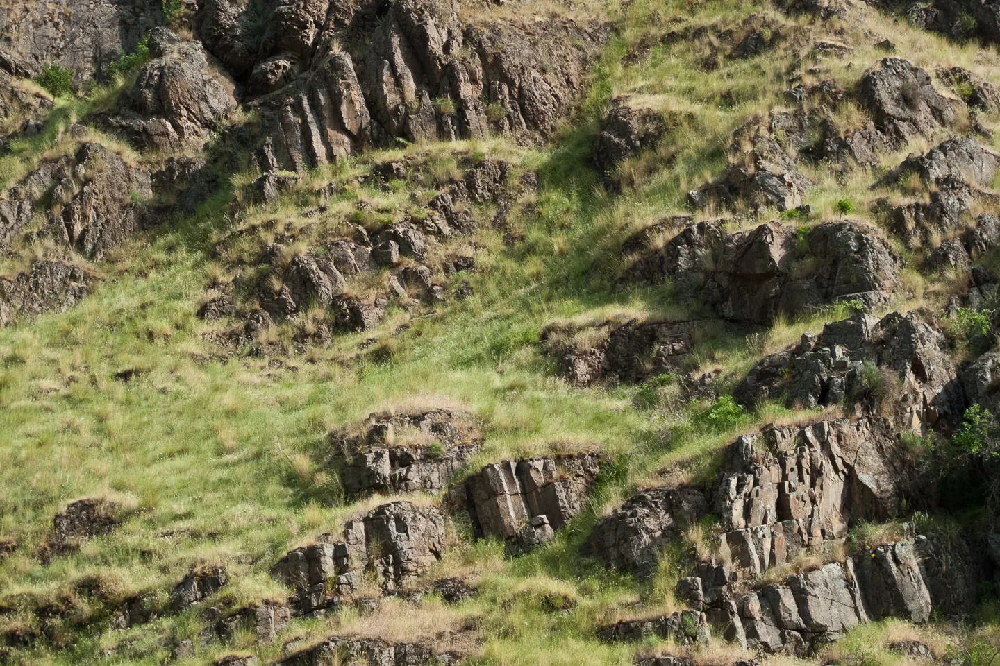 20090526_snake_river_086.jpg