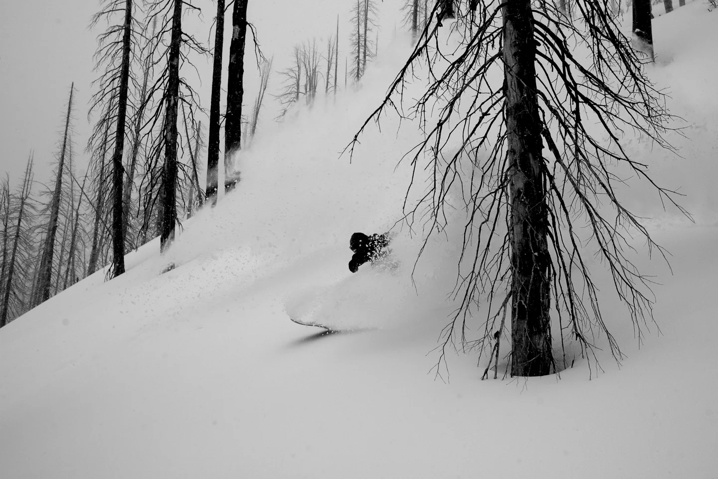 20070220_NateFarrell_Idaho_IMG_5857.jpg