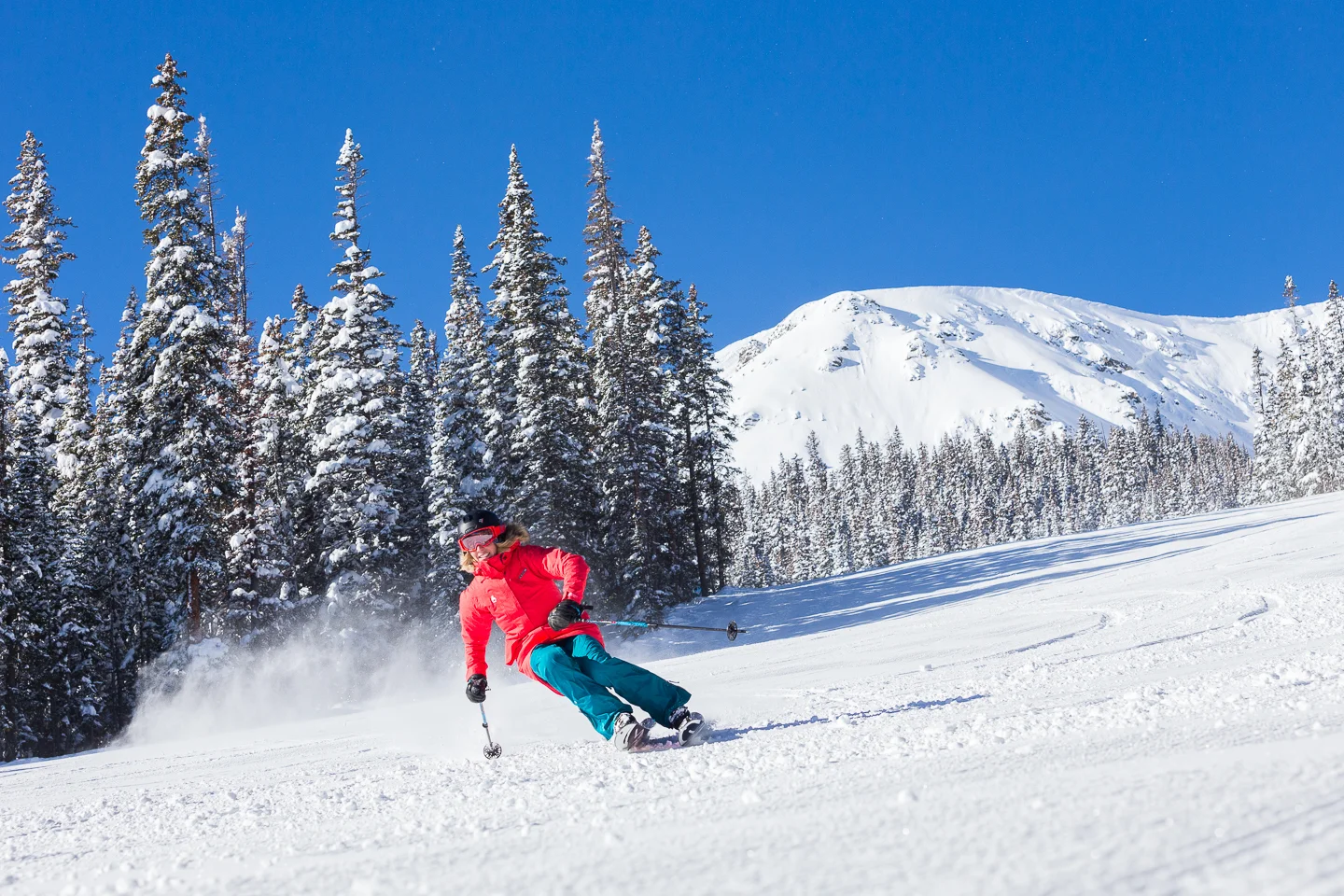 Adodds_20140202_Peak_6_00483.jpg