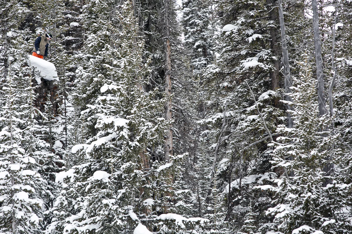 20130218_Craven_0055.jpg