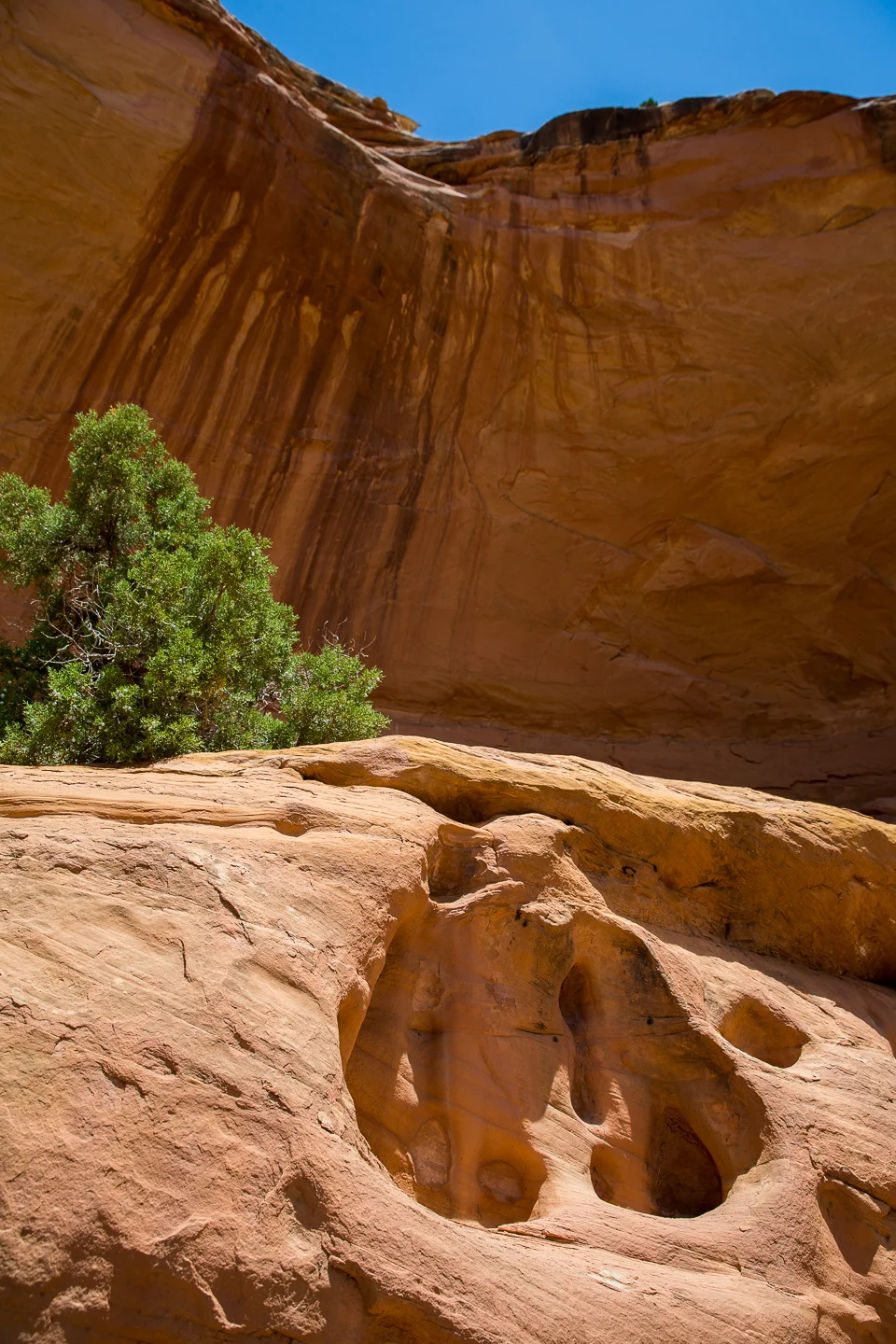 20150527_Environment_038.jpg