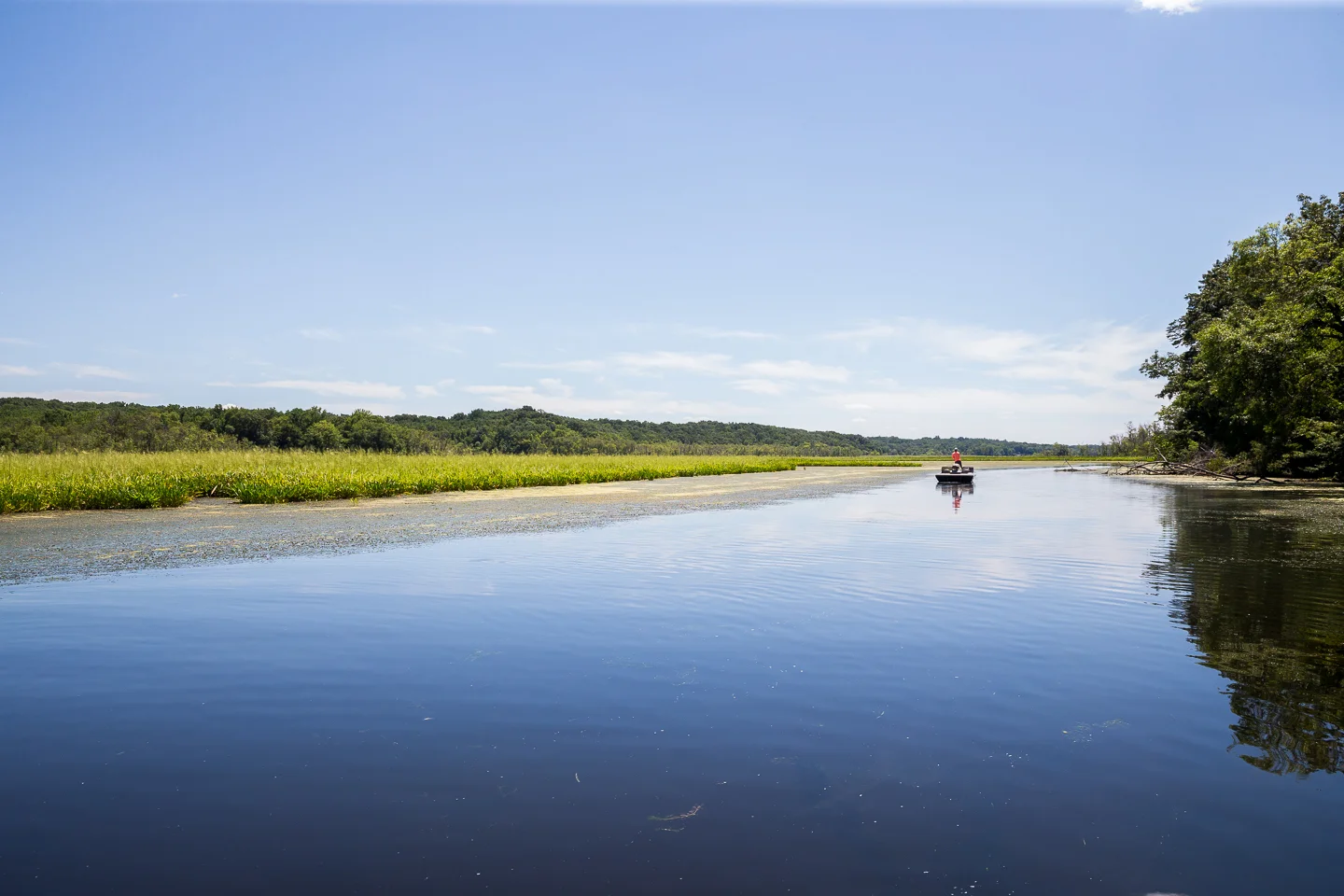 20150722_Iaconelli_0934.jpg