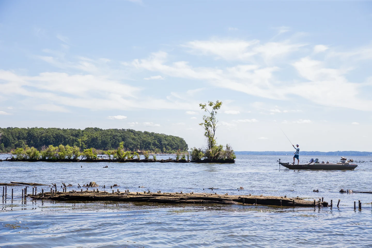 20150722_Iaconelli_1065.jpg