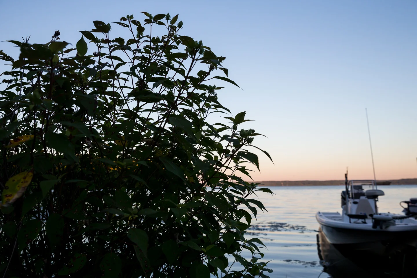 20150722_Misc_0005.jpg