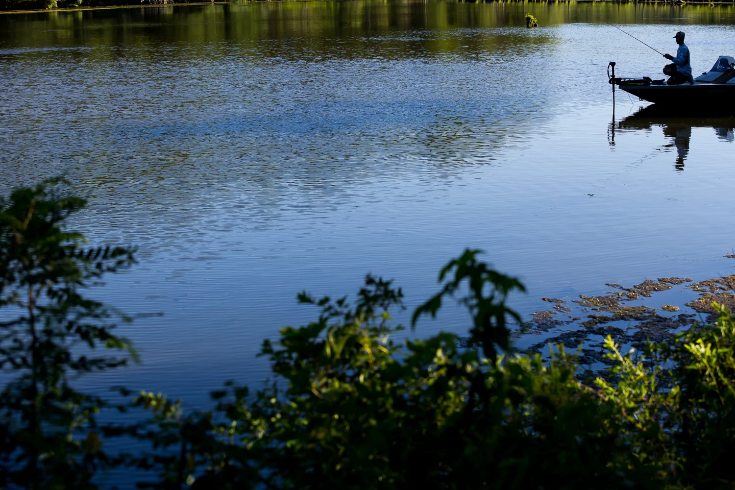 20150722_Iaconelli_0359.jpg