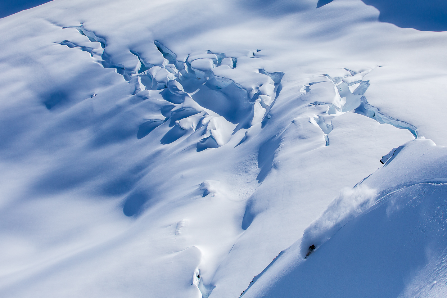 20150331_Basich_482.jpg