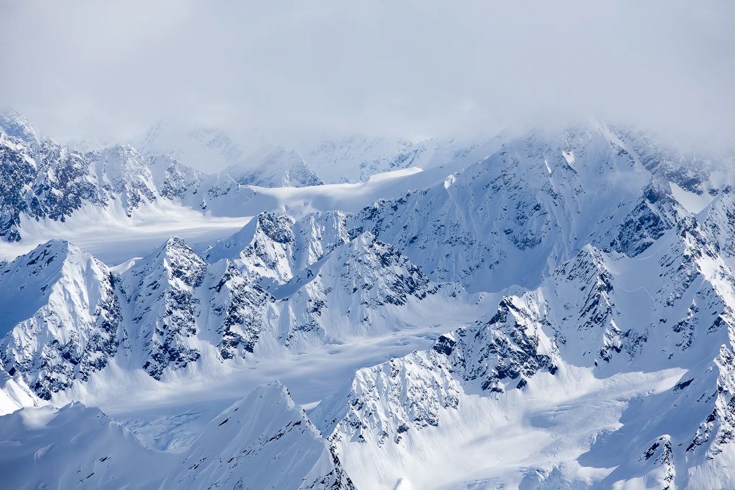 20150331_Environment_047.jpg