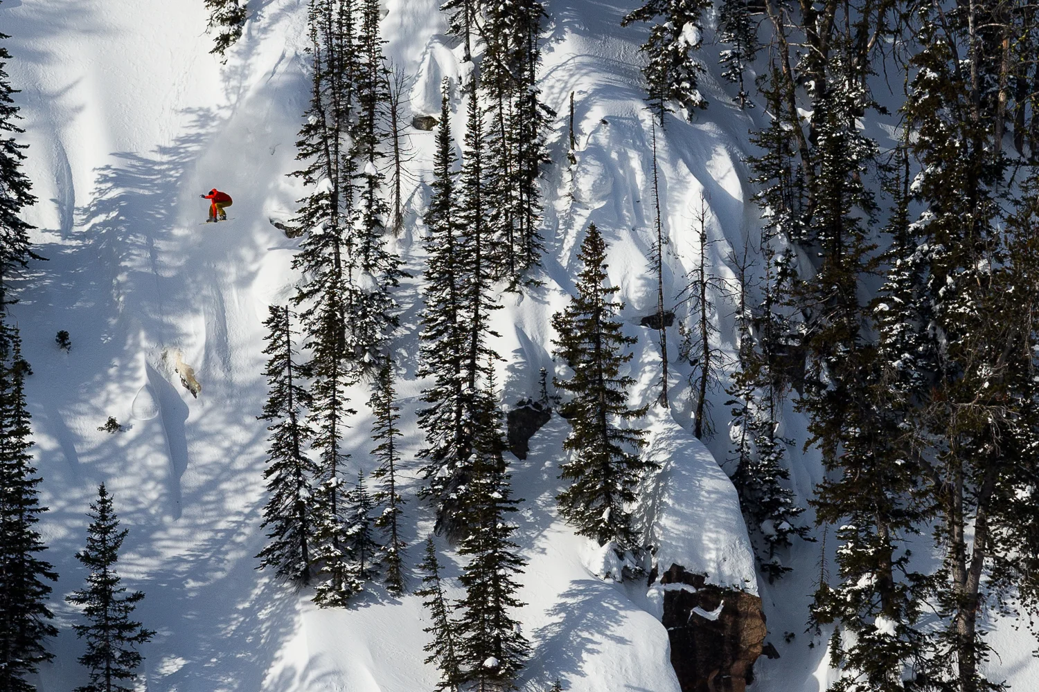 20160221_Leines_095.jpg