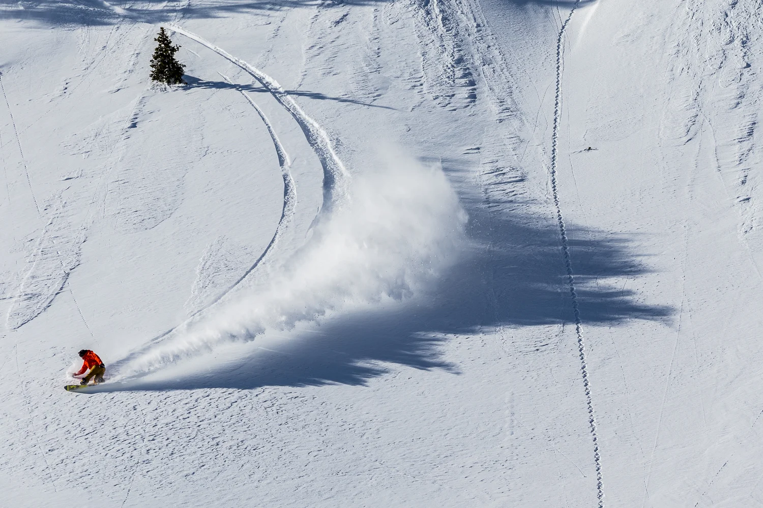 20160225_Leines_214.jpg