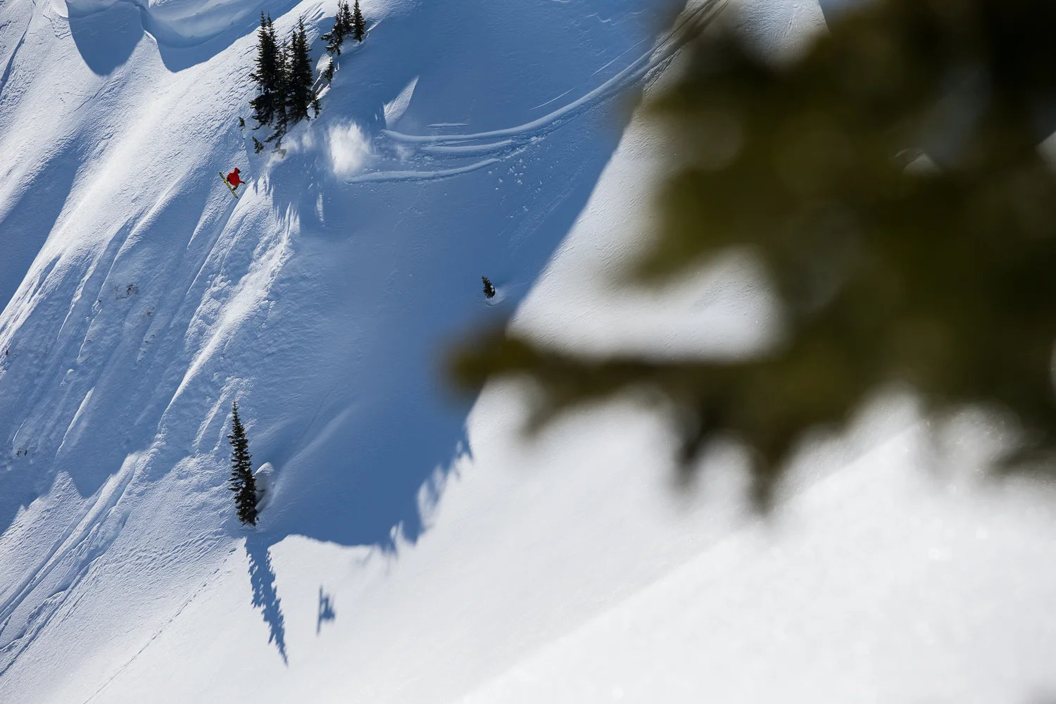 20160226_Leines_257.jpg