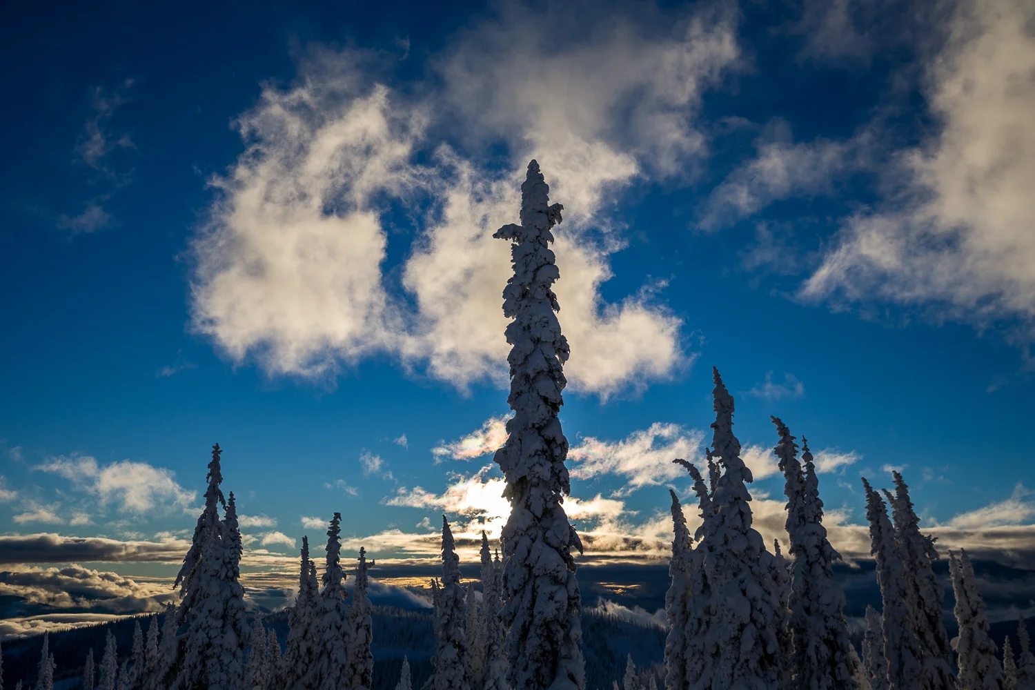 20151214_Environment_111.jpg