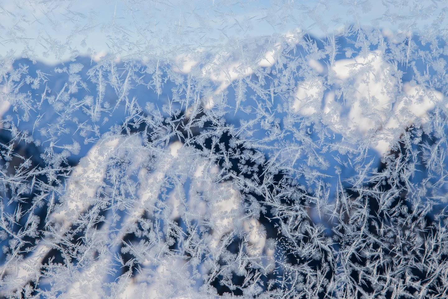 20150226_Misc_0008.jpg
