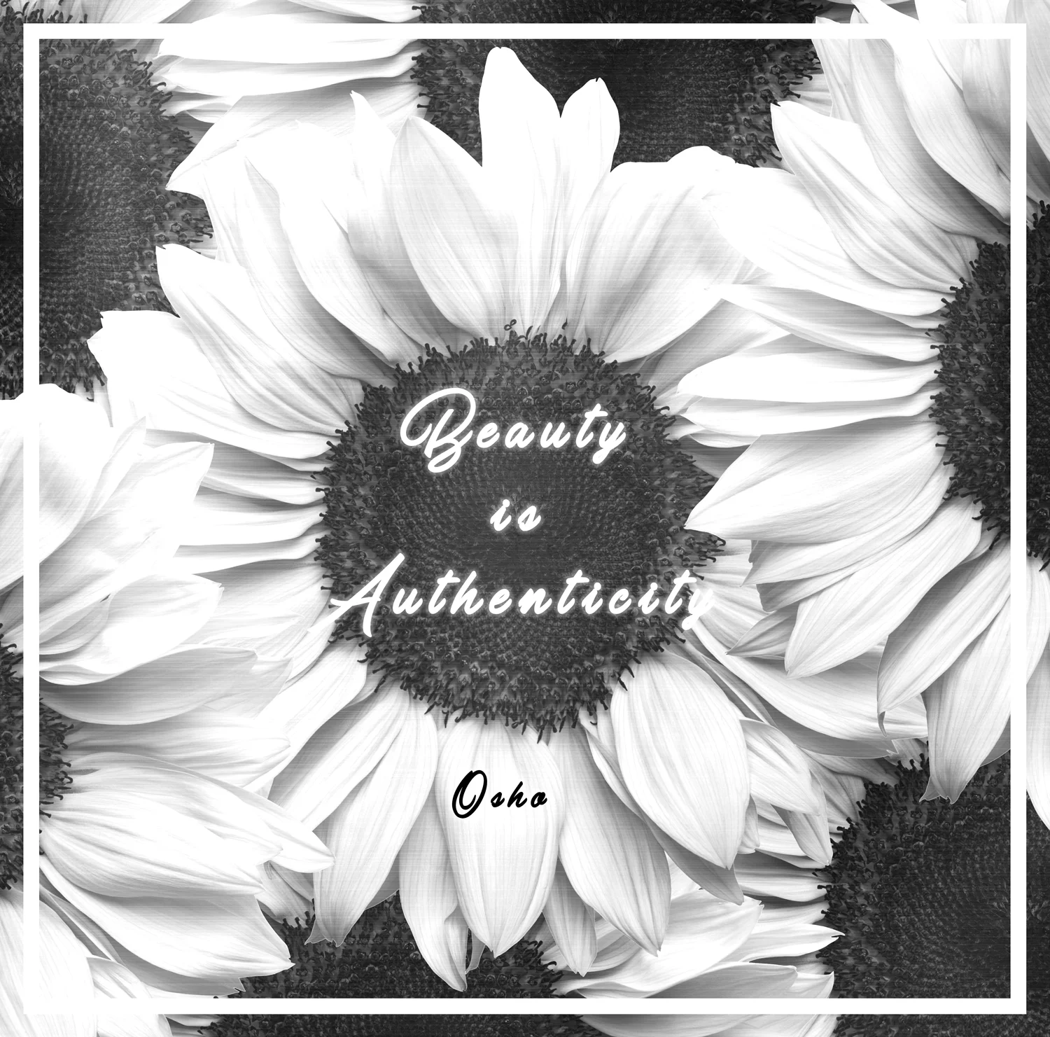 BeautyisAuthenticityBW.jpg