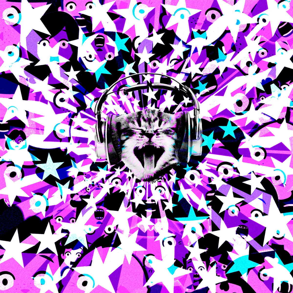 Cat-Face2-1200.jpg