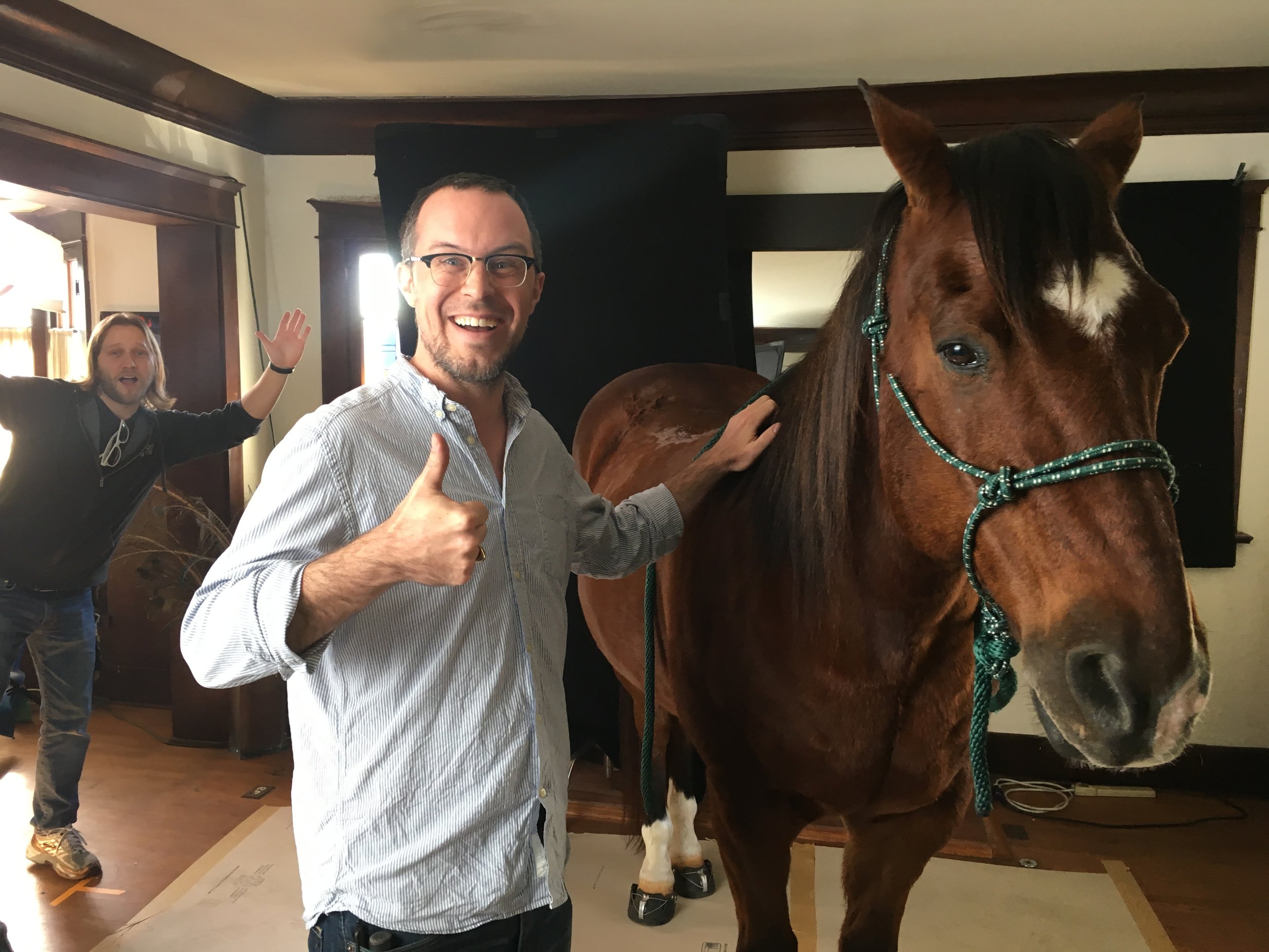 There's a horse in the house! 