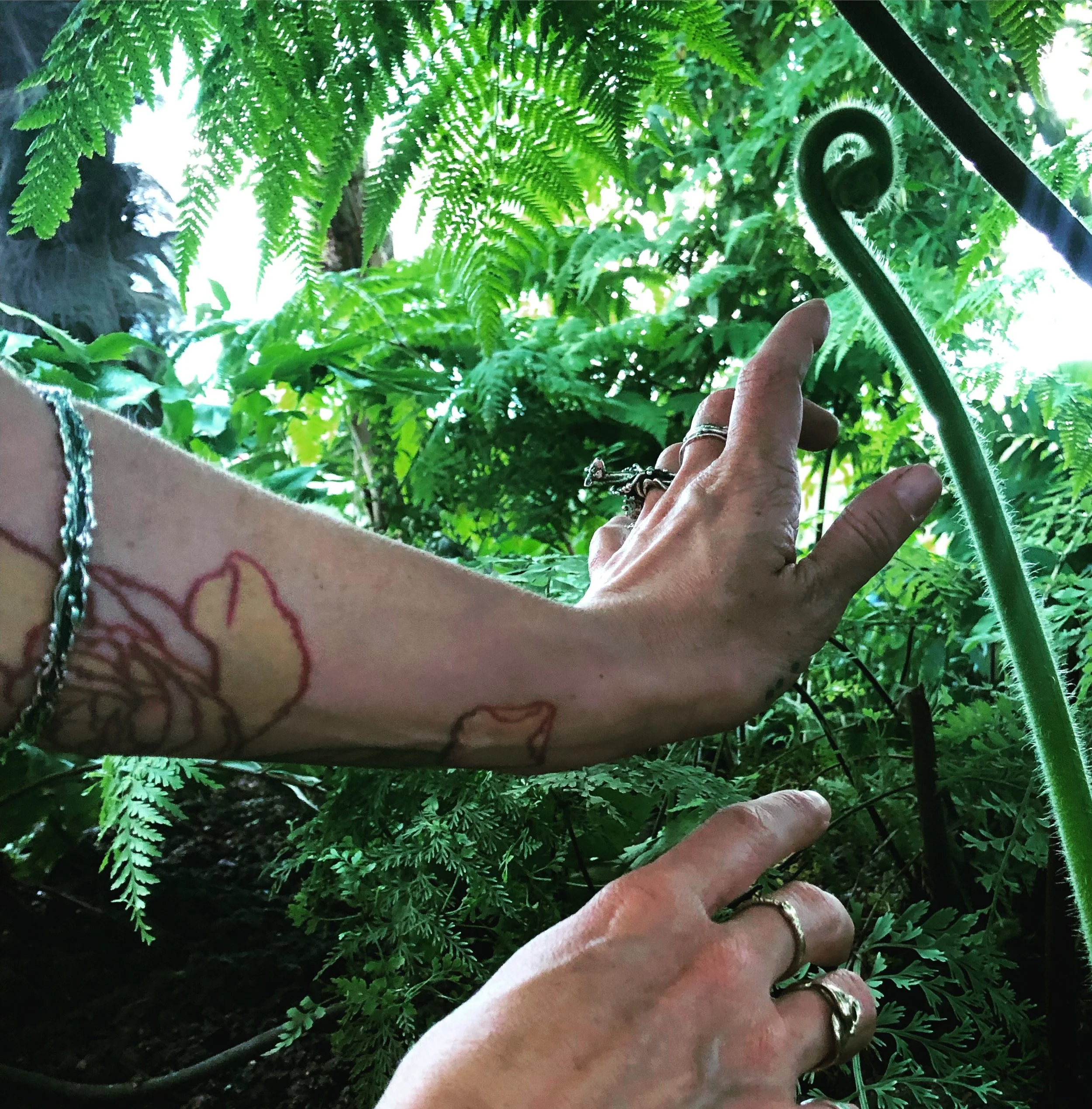 2E04B522-3652-4A3A-A3C4-246343CC4D73