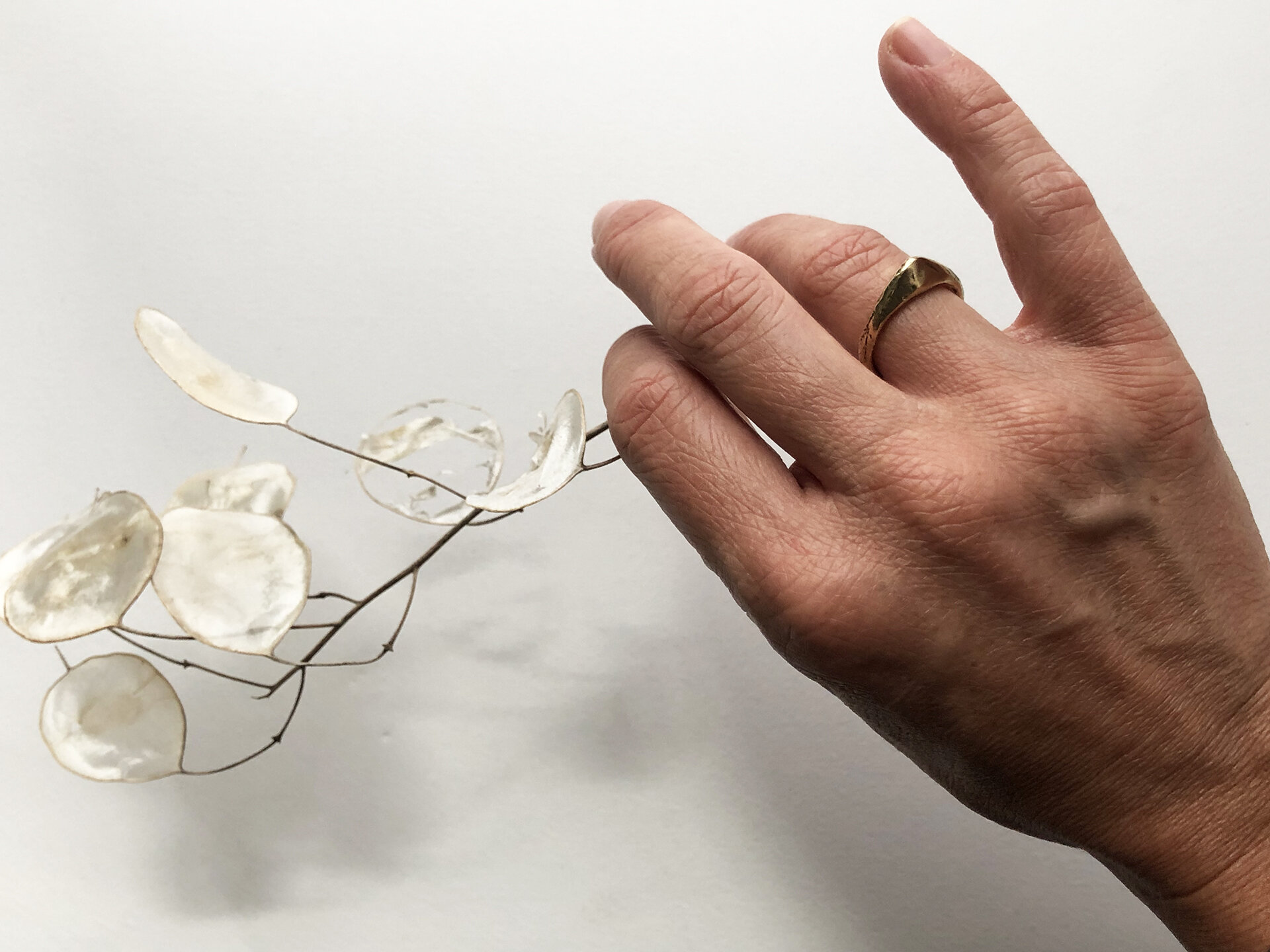 BMountainRingOnWeb.jpg