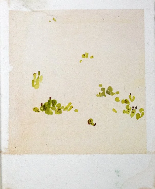 Desert