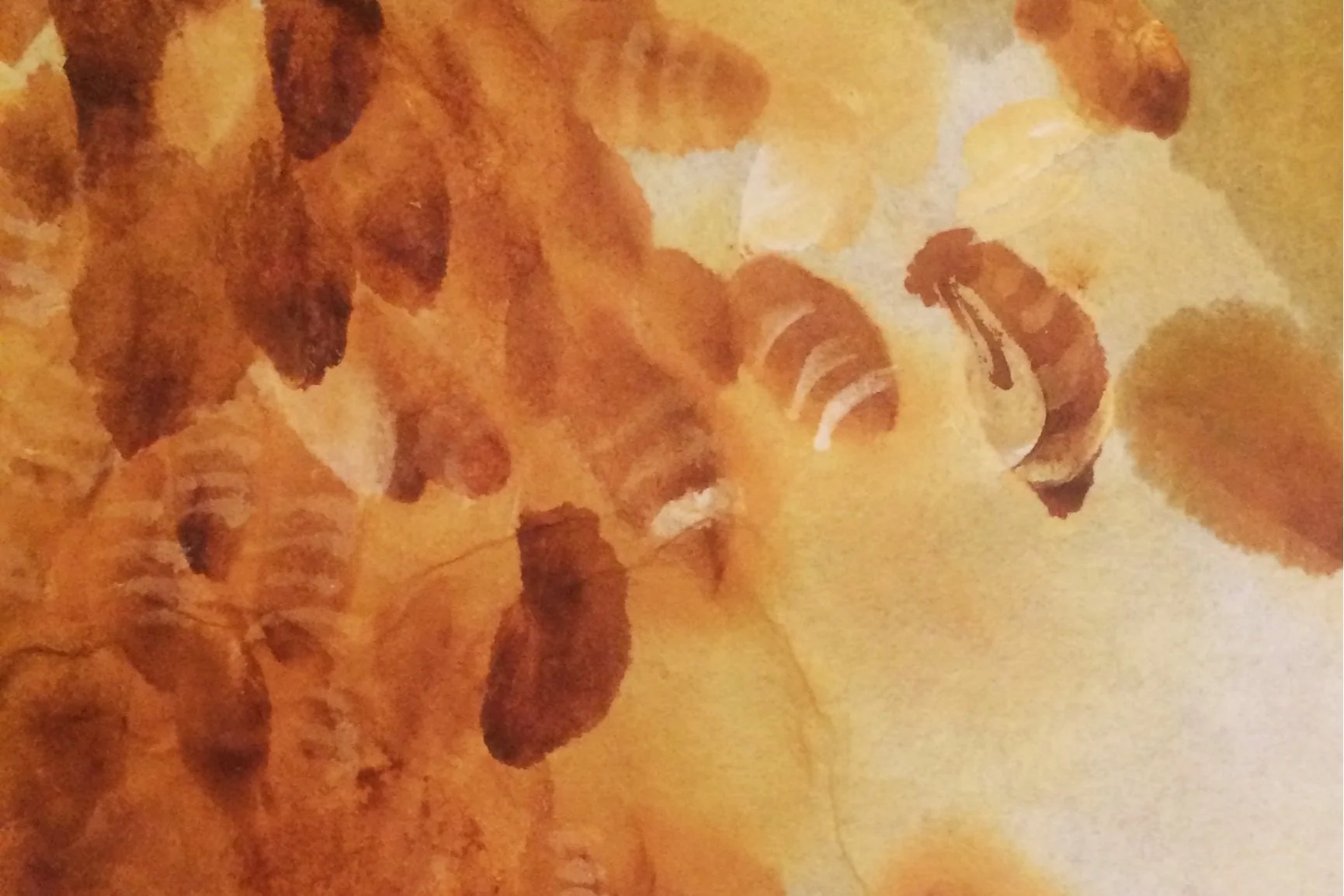 Hartman.HoneyBees.jpg