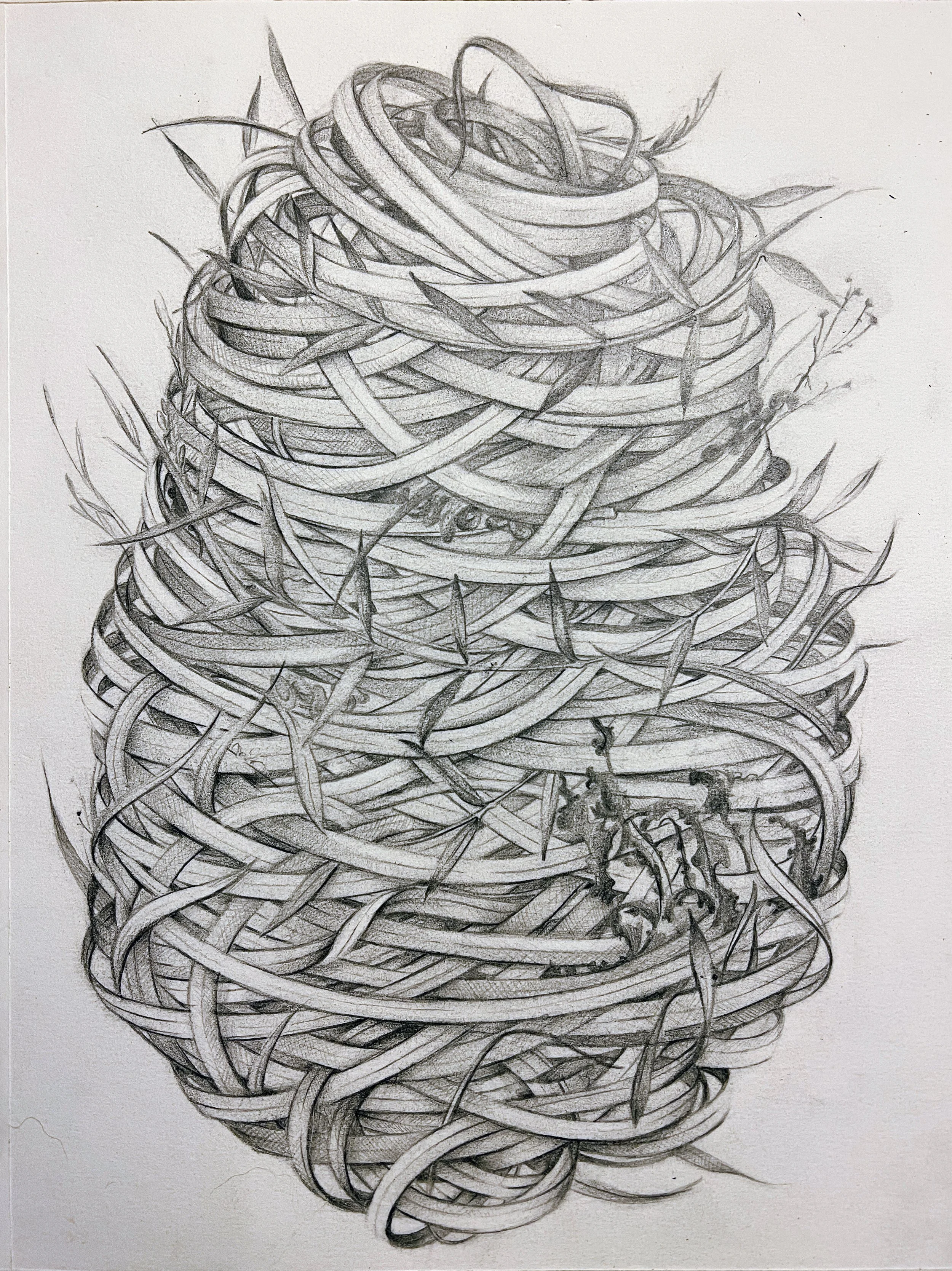 Cocoon for the Grasses