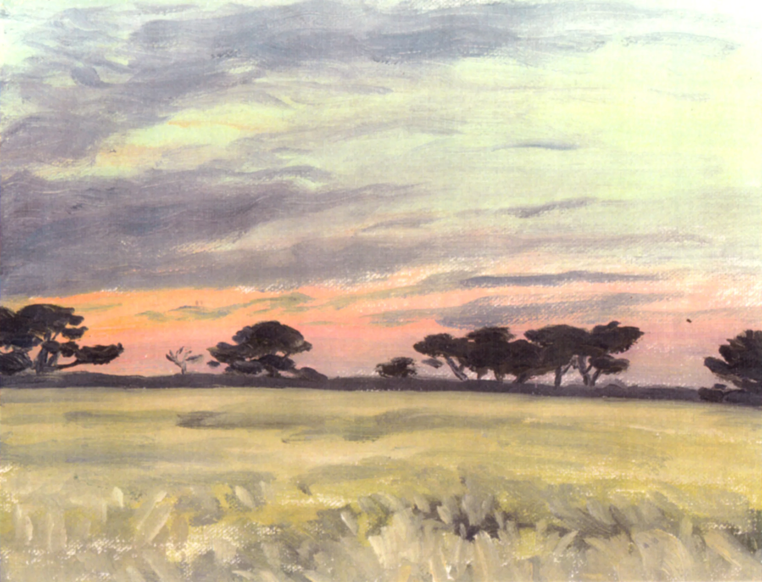 Monterey pines, Paul